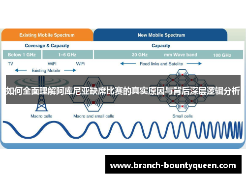 如何全面理解阿库尼亚缺席比赛的真实原因与背后深层逻辑分析