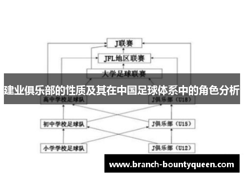 建业俱乐部的性质及其在中国足球体系中的角色分析