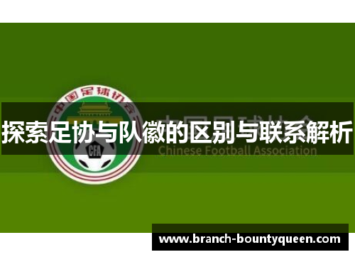 探索足协与队徽的区别与联系解析