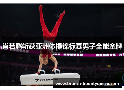 肖若腾斩获亚洲体操锦标赛男子全能金牌