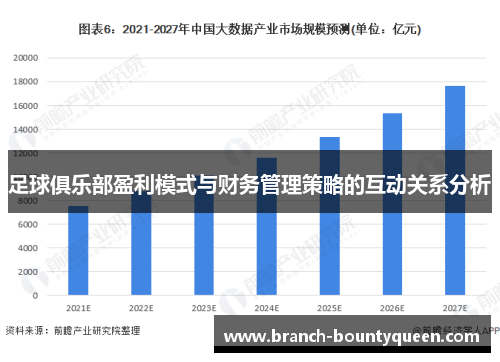 足球俱乐部盈利模式与财务管理策略的互动关系分析
