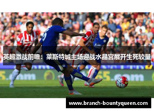 英超激战前瞻：莱斯特城主场迎战水晶宫展开生死较量