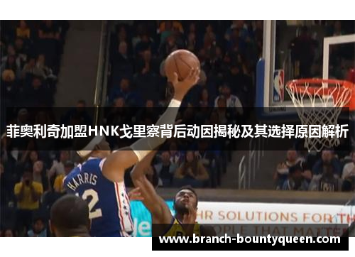 菲奥利奇加盟HNK戈里察背后动因揭秘及其选择原因解析