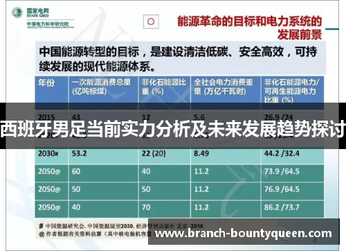 西班牙男足当前实力分析及未来发展趋势探讨