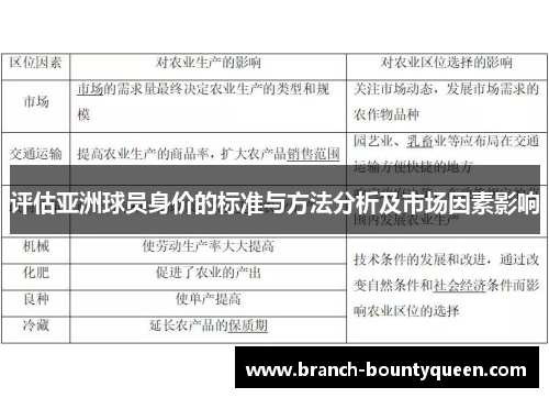 评估亚洲球员身价的标准与方法分析及市场因素影响