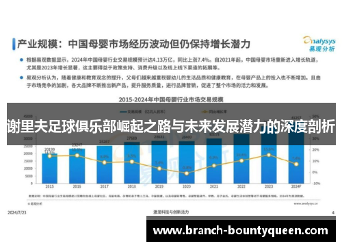 谢里夫足球俱乐部崛起之路与未来发展潜力的深度剖析