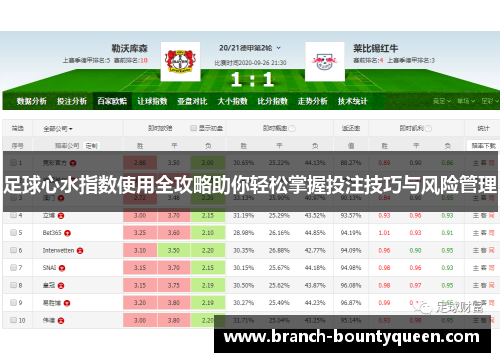 足球心水指数使用全攻略助你轻松掌握投注技巧与风险管理