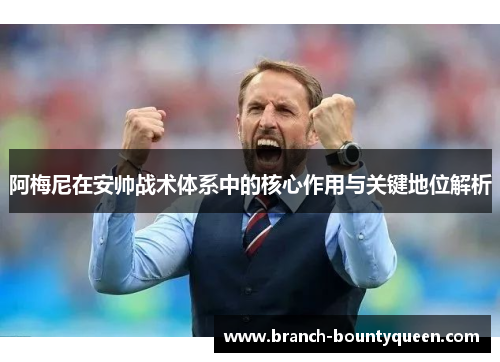 阿梅尼在安帅战术体系中的核心作用与关键地位解析