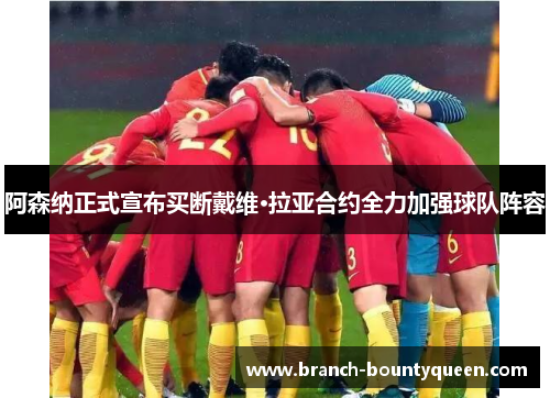 阿森纳正式宣布买断戴维·拉亚合约全力加强球队阵容 阿森纳正式宣布买断戴维·拉亚合约全力加强球队阵容