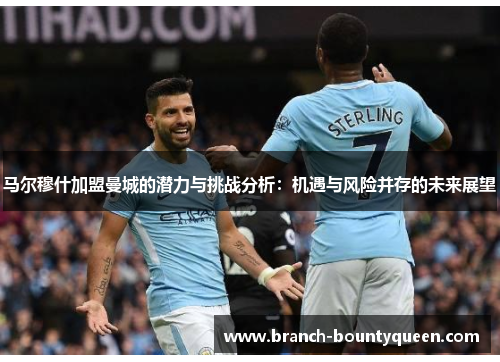 马尔穆什加盟曼城的潜力与挑战分析：机遇与风险并存的未来展望