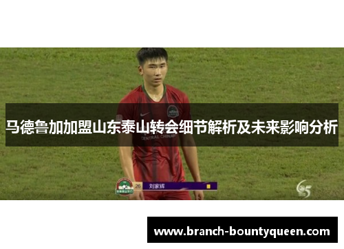 马德鲁加加盟山东泰山转会细节解析及未来影响分析