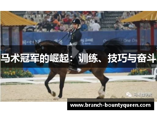 马术冠军的崛起：训练、技巧与奋斗