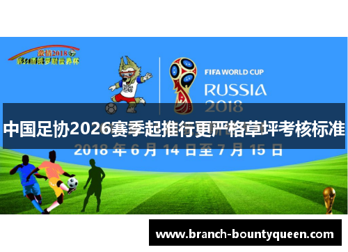 中国足协2026赛季起推行更严格草坪考核标准