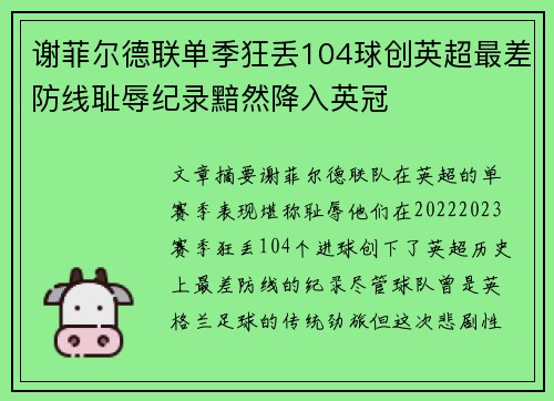 谢菲尔德联单季狂丢104球创英超最差防线耻辱纪录黯然降入英冠